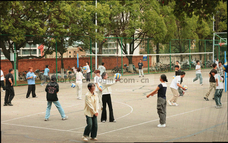 球队球迷专区数据对照页面，主客队控球率、射门、传球等数据并列展示的界面示意